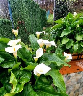 Arredondo Ski Chalet | El Rincón de la Naturaleza