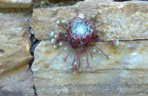 Villamartin de la Abadia Hotel | El Tiempo Recobrado - Hotel de relax en El Bierzo