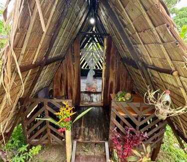 El Nido Other | El Trinidad Organic Farm