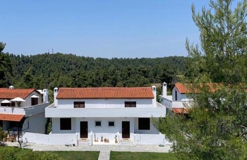 Siviri Villa | Elani Cactus House