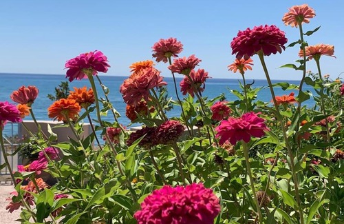 Keratokambos House | Elda Strandhaus