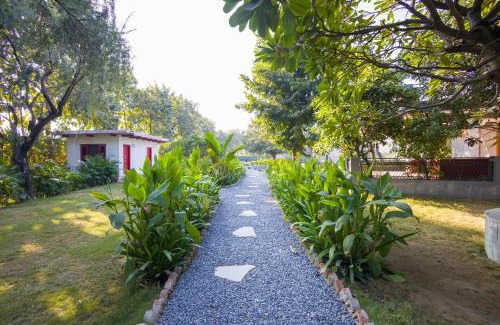 Faridabad Villa | ELIVAAS Hidden Oasis 4BHK with Pool, Mud House & Container House