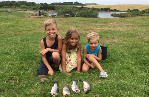 Lemvig Bed & Breakfast | Ellemose Bed and Breakfast