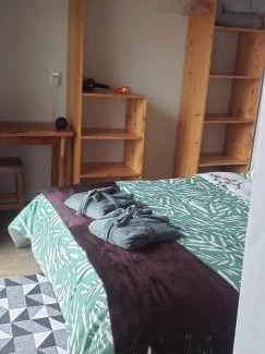 Costas House | Elysium Araucária Tiny house