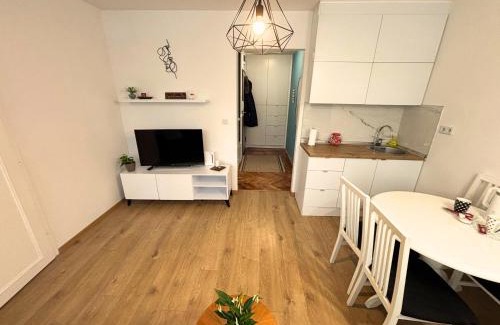 Novo Sarajevo Apartment | Ema - Cozy Apartment near Wilsons Promenade