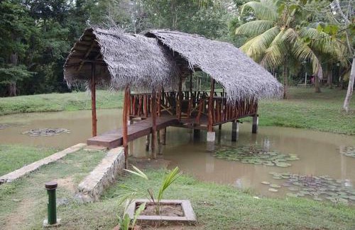 Udawalawa Hotel | Emma safari udawalawa