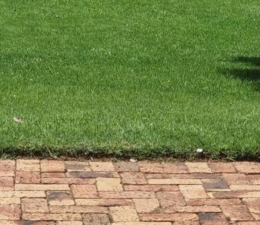 Vanderbijlpark Cabin | Emufuleni river logde
