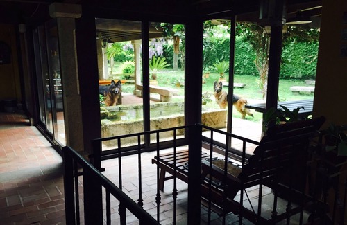 A Moreira House | Encantadora Casa de Campo del Siglo XIX en un Bonito Valle, a 2 km del mar