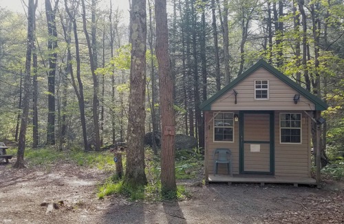 Mount Storm Cabin | Enjoy Nature At Its Finest-Rustic Furnished Cabin W/Electricity at Abrams Creek