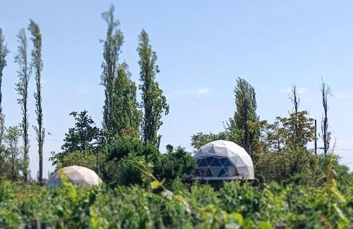 Chacras de Coria Other | Entre racimos, glamping entre viñedos en bodega