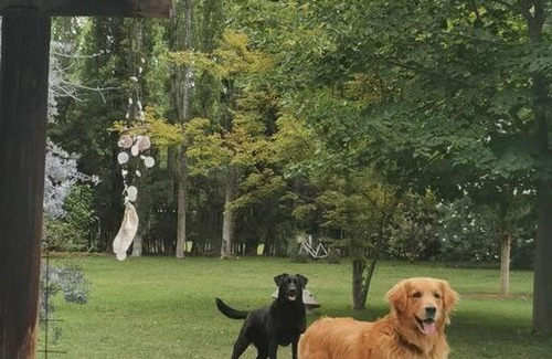 Vistalba Apartment | ENTRE VIÑAS