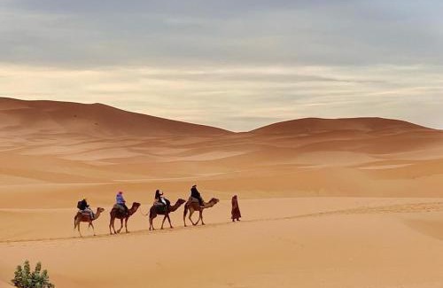 M'Hamid El Ghizlane Bed & Breakfast | Erg Chegaga nomad tour