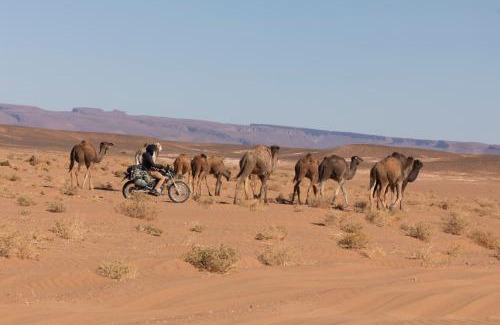 M'Hamid El Ghizlane Other | Erg Chigaga Daya Camp - Sahara Desert Stay