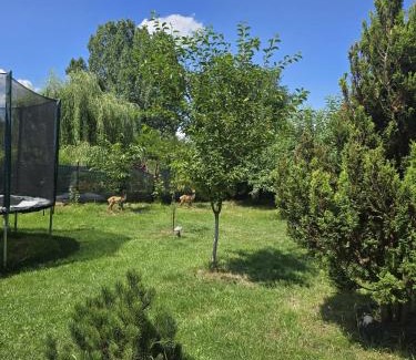 Horezu House | Erisia