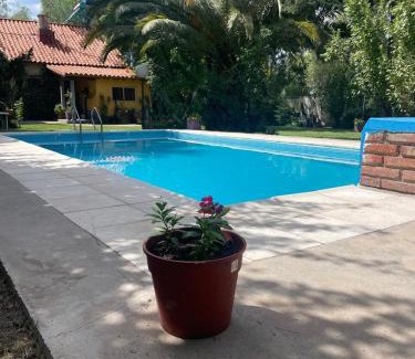 San Rafael Bed & Breakfast | Escapada Exclusiva en Finca con Viñedos y Olivares Relájate en la Naturaleza con Confort y Encanto