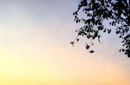 Kenora Cabin | Escape to your ultimate vacation retreat at Two N. Shore Royal Lake Rd., Kenora