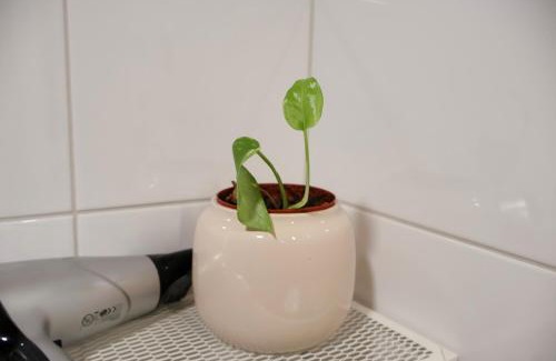 Espoo Hotel | Espoo Dwellings with Sauna, Parking