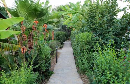 Cirali House | Estelar Bungalow