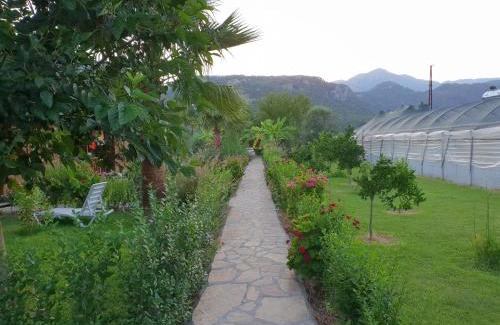 Cirali House | Estelar Bungalow