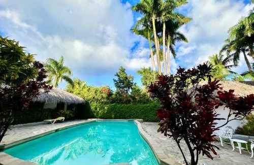 ProCab House | EverGreen Cabarete