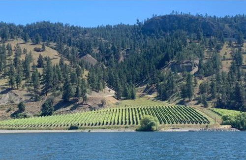 Central Okanagan House | Exceptional Boutique Cottage with Incredible Lake View
