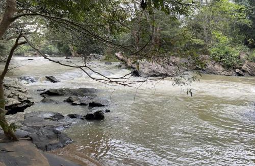 Buttala Cabin | Exciting Tree house and 2 Chalets, Spring valley farm stay Buttala, Okkampitiya