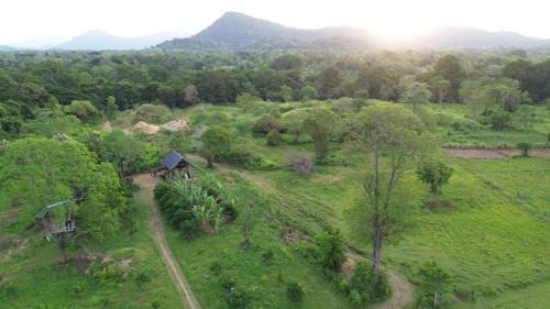 Buttala Cabin | Exciting Tree house and 2 Chalets, Spring valley farm stay Buttala, Okkampitiya