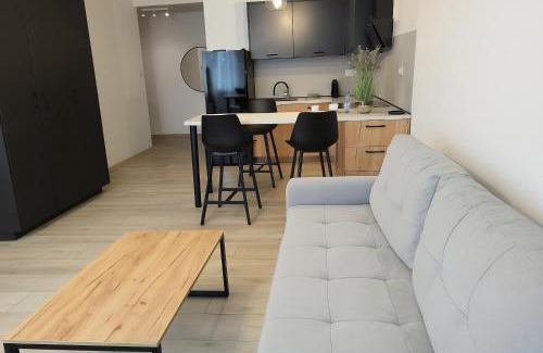 Opole Apartment | Exclusive Apartment - blisko Dworca, darmowy parking, późne wymeldowanie, Wi-Fi