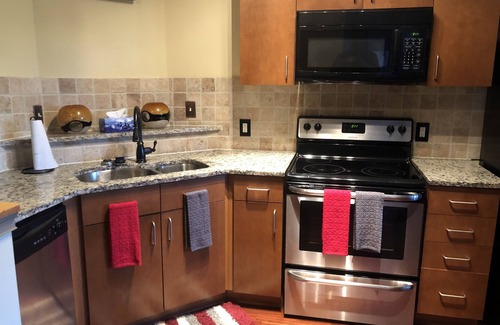 Atlanta Condo | EXCLUSIVE FURNISHED LUXURY CONDO