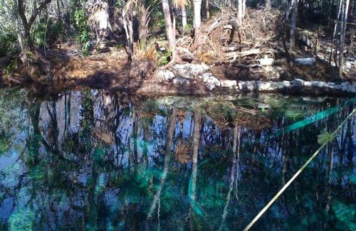 Tulum House | Exotic Eco House in Jungle with Private Cenote