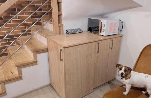 Konskie Apartment | Extra Apartament Leśny Miodek Sielpia Wielka