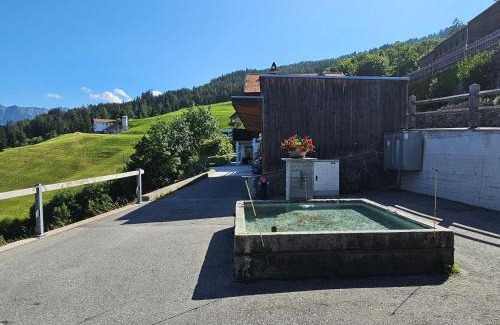 Cazis Apartment | Försterhaus Dalin Ferienwohnung Schweizer Alpen