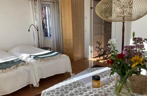 Hoor Apartment | Förtjusande gästsvit med öppen spis