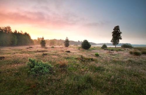 Municipality of Westerveld House | Familiehuis Wellness | 18 personen