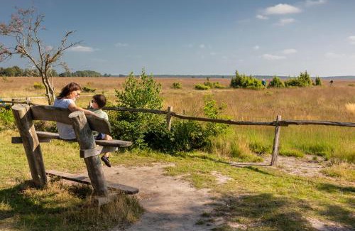 Municipality of Westerveld House | Familiehuis Wellness | 18 personen