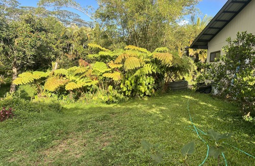 Keaau House | Family friendly, centrally located 2lvl home with epic furniture and fruit trees