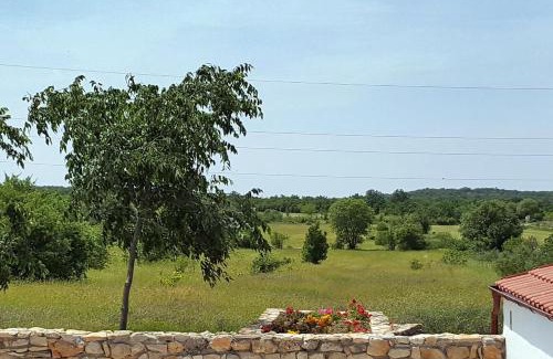 Oklaj House | Family friendly house with a swimming pool Puljane, Krka - 11688