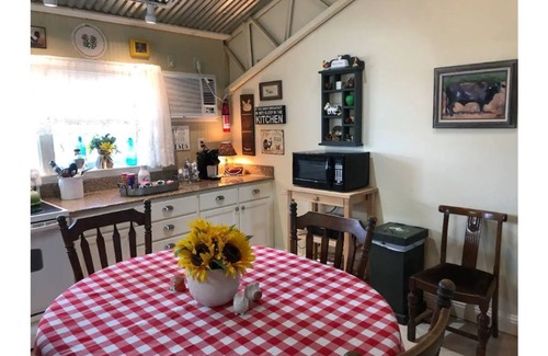 Waelder House | Family/pet friendly retreat, convenient to Austin, and south central Texas.