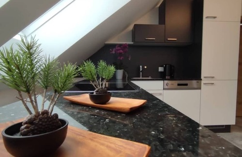 Mauterndorf Apartment | Fantastic luxury apartment in Salzburg's ski paradise