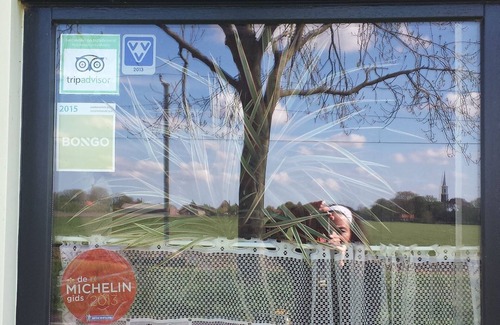 Westwoud House | Farmhouse at half-hour Amsterdam and 10 minutes Hoorn, Enkhuizen and Medemblik