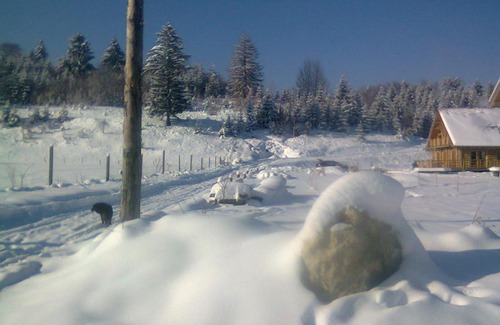 Rasnov Cabin | Farmhouse Rosehip Flower Romania Brasov