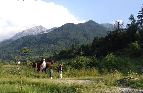 Rasnov Cabin | Farmhouse Rosehip Flower Romania Brasov
