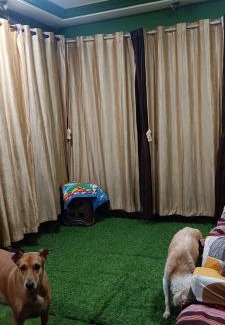 Mira Road East House | Feel home with my pets and I while enjoying your private space