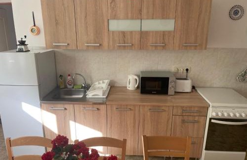 Kovacsszenaja Apartment | Fehér Bagoly Vendégház