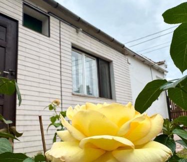 Tata Apartment | Fehérlak