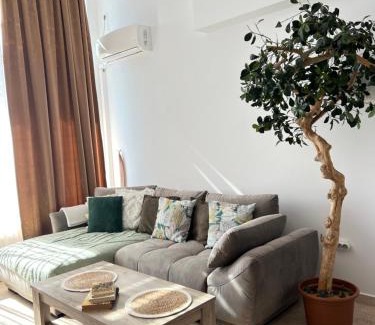Copou Apartment | Felix Accommodations Parhon