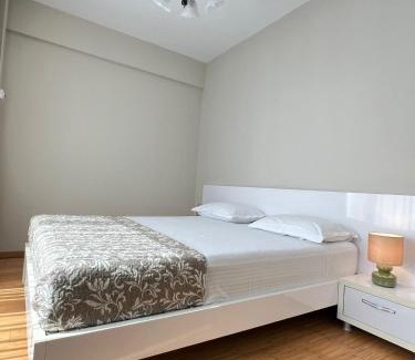 Copou Apartment | Felix Accommodations Parhon