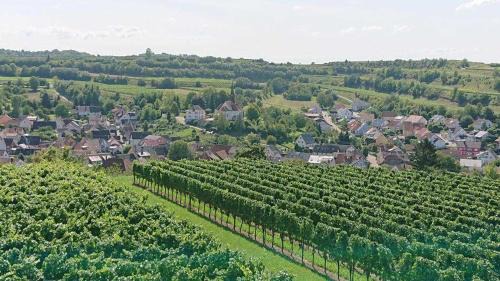 Kenzingen Apartment | Ferien im Heckenland