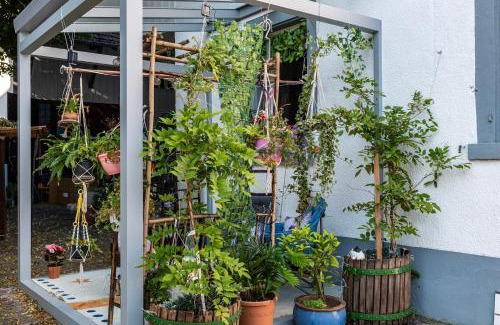 Kandern Apartment | Ferienappartments Nähe Schweiz