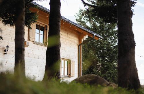 Frantschach-Sankt Gertraud Ski Chalet | Feriendorf Koralpe Chalet Arnika XL 28